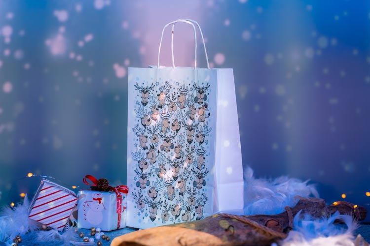 Christmas paper bag series - "Christmas"