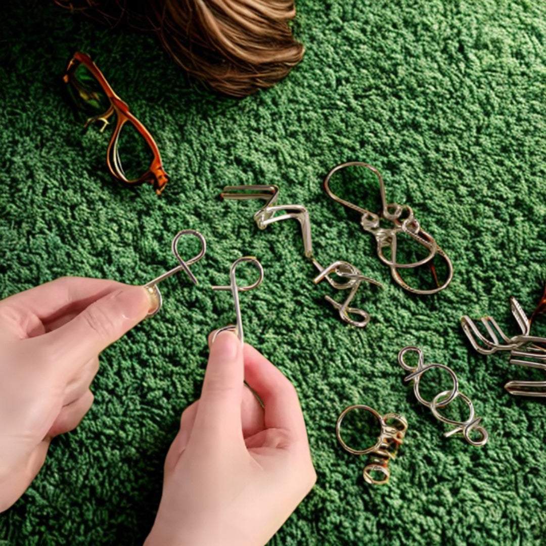 Metal puzzle, jigsaw puzzle, hooks - puzzle, logic puzzle