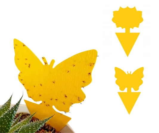 Lepy doniczkowe przeciwko owadom, szkodnikom, ziemiórkom