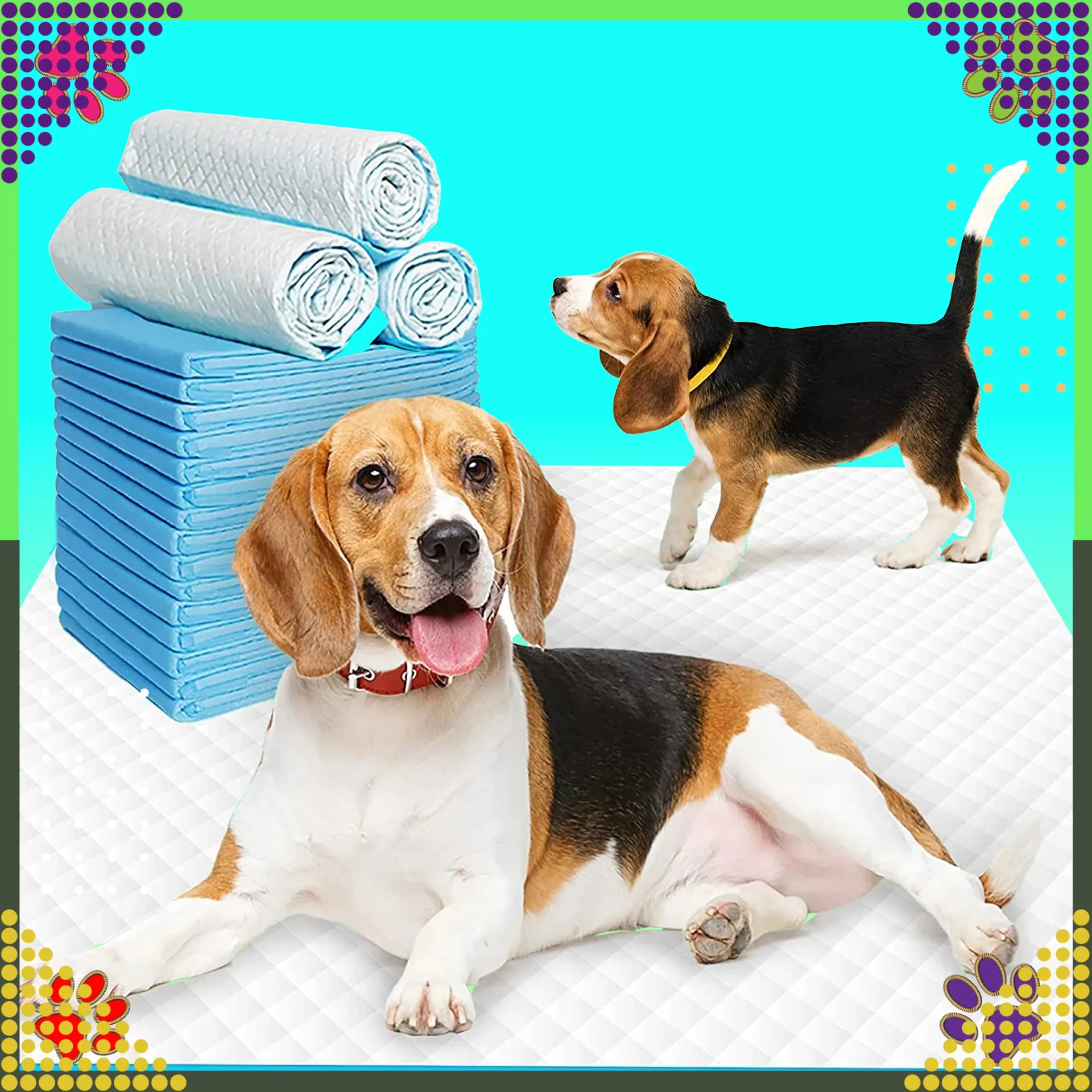 Dwa beagle na podkładzie higienicznym obok stosu i zrolowanych podkładów