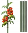 Podpory tyczki do pomidorów STALOWE powlekane 150 cm, 10 szt.