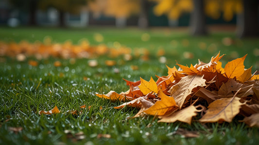 Zaplanuj jesienne porządki - sprytne sposoby na organizację prac ogrodowych