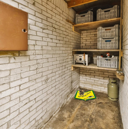 Bardzo silny LEP PUŁAPKA na gryzonie