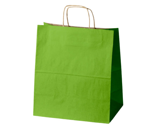 Torba papierowa jasnozielona z uchwytem skręcanym, wymiary 305x170x340 mm, idealna do pakowania prezentów i zakupów – b2b allbag
